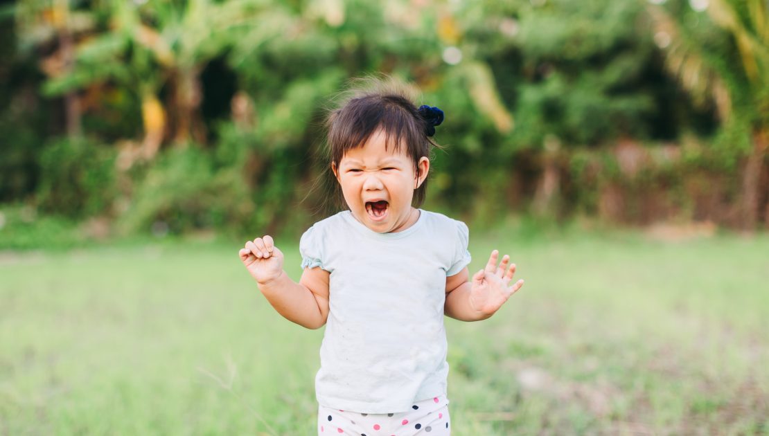 Toddler Tantrums – Why They’re A Good Thing