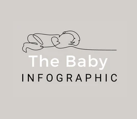 The Baby Infographic